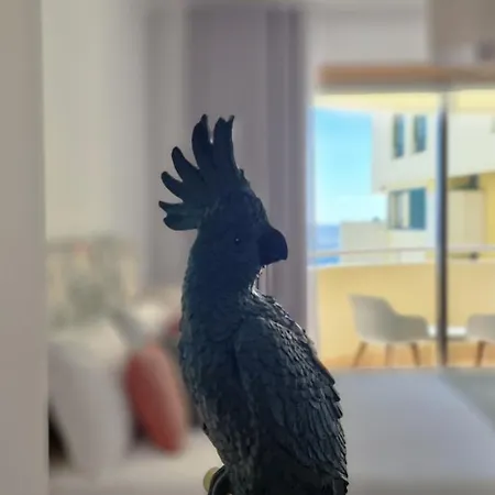 Apartman Glorious By Lovelystay Funchal